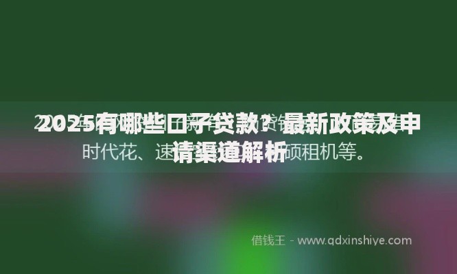 2025有哪些口子贷款？最新政策及申请渠道解析
