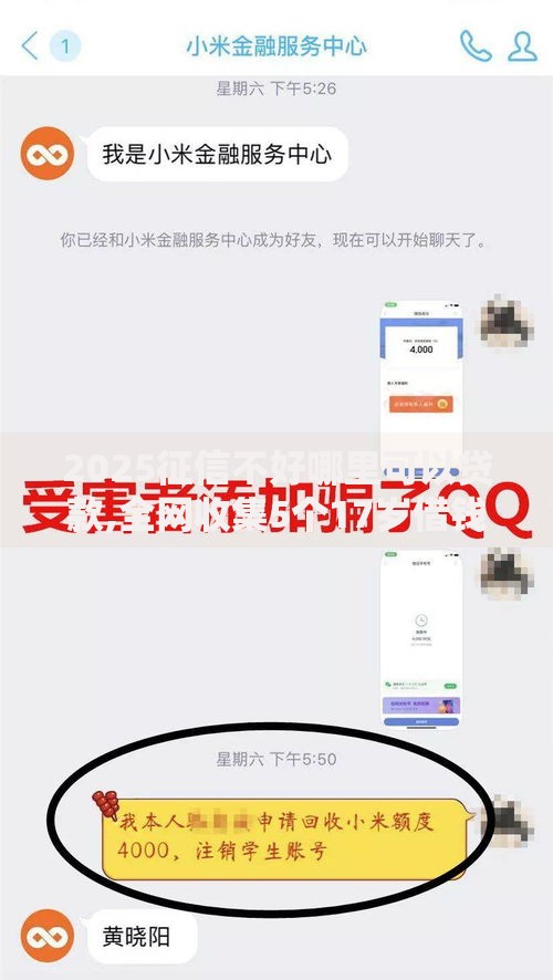 2025征信不好哪里可以贷款,全网收集5个17岁借钱平台