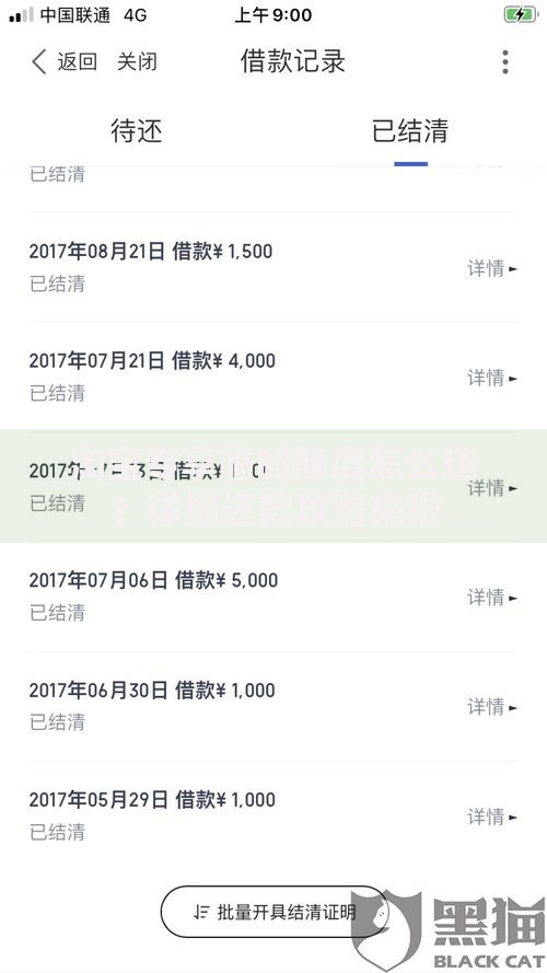 淘宝专享临时额度怎么还？详细还款攻略来啦