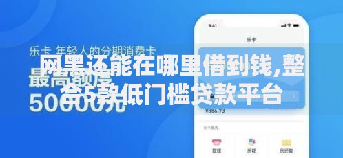 网黑还能在哪里借到钱,整合5款低门槛贷款平台