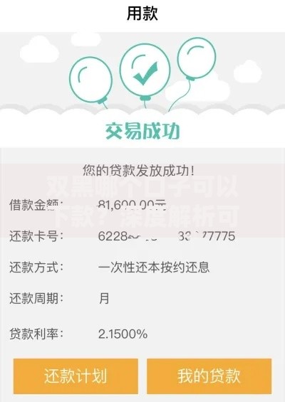 双黑哪个口子可以下款？深度解析可靠渠道与申请技巧