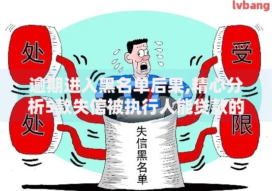 逾期进入黑名单后果,精心分析5款失信被执行人能贷款的口子