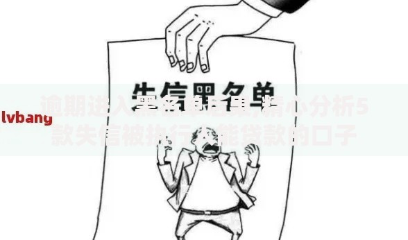 逾期进入黑名单后果,精心分析5款失信被执行人能贷款的口子