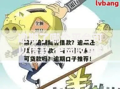 逾期了哪个平台可以借款,全网收集5个大老黑能下款的口子