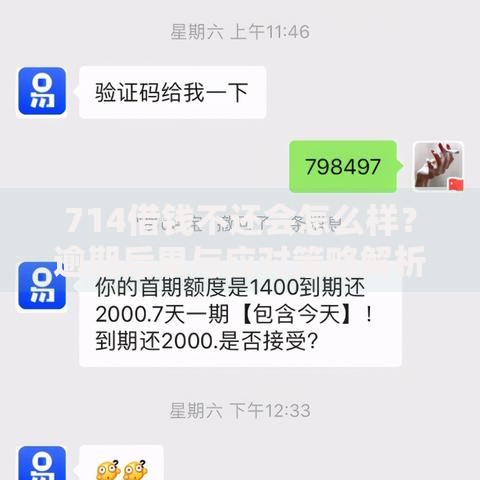 714借钱不还会怎么样？逾期后果与应对策略解析