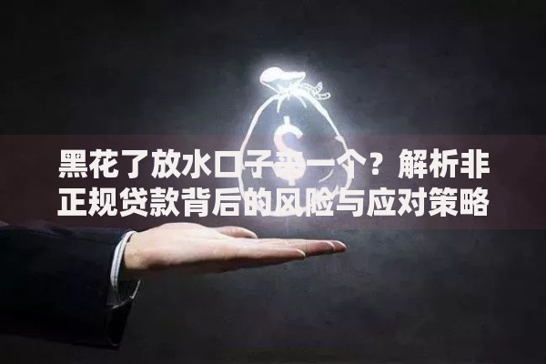 黑花了放水口子来一个？解析非正规贷款背后的风险与应对策略
