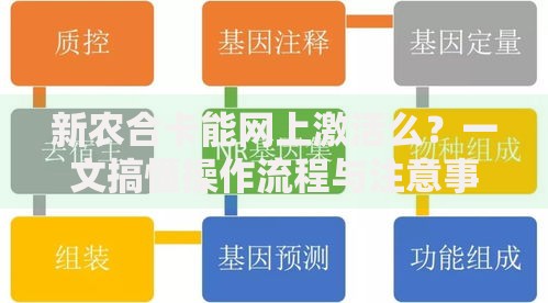 新农合卡能网上激活么？一文搞懂操作流程与注意事项