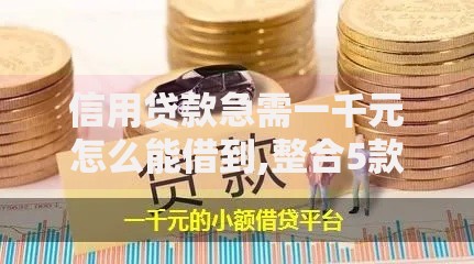 信用贷款急需一千元怎么能借到,整合5款千元贷款平台