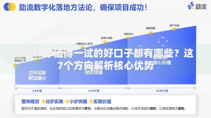 2025年值得一试的好口子都有哪些？这7个方向解析核心优势