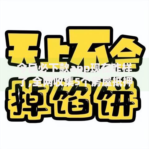 今日必下款app现在咋样了,全网收集5个房屋抵押贷款平台