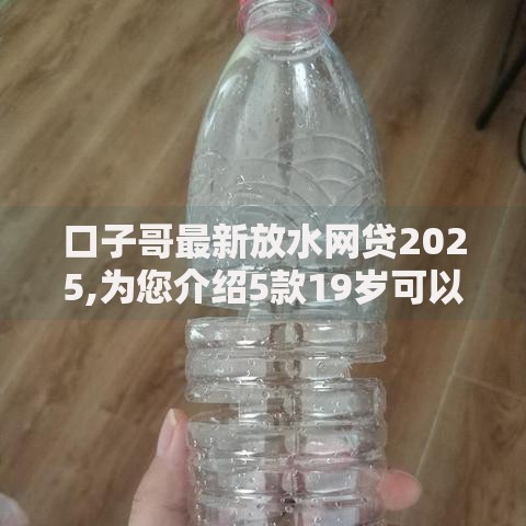 口子哥最新放水网贷2025,为您介绍5款19岁可以贷款的平台