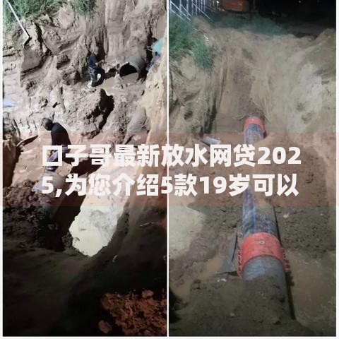 口子哥最新放水网贷2025,为您介绍5款19岁可以贷款的平台