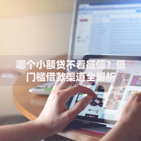 哪个小额贷不看征信？低门槛借款渠道全解析