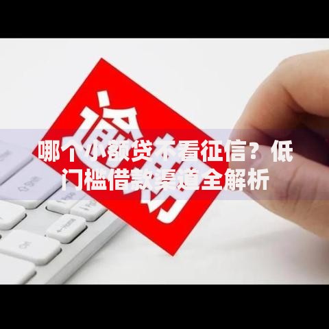 哪个小额贷不看征信？低门槛借款渠道全解析
