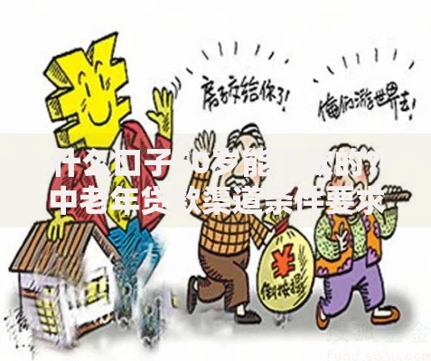 什么口子50岁能下款的？中老年贷款渠道条件要求及办理流程解析