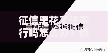 征信黑花了还不行吗怎么办？修复信用与贷款解决方案