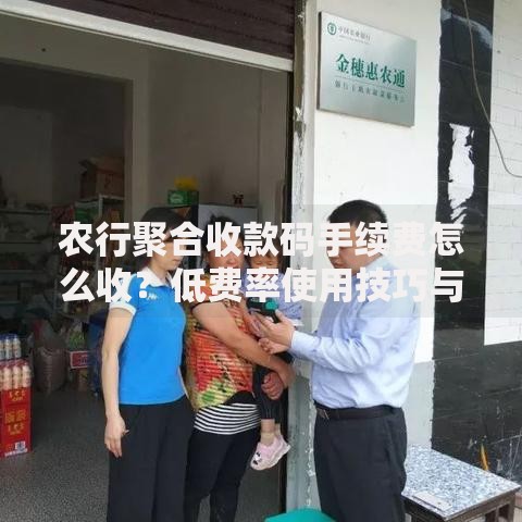 农行聚合收款码手续费怎么收？低费率使用技巧与常见问题解答