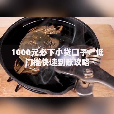 1000元必下小贷口子：低门槛快速到账攻略
