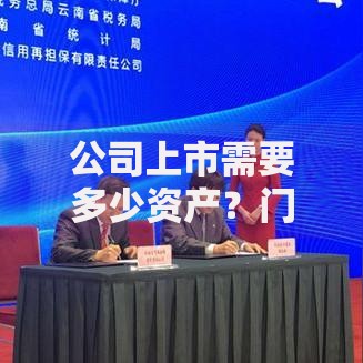 公司上市需要多少资产？门槛、隐形条件与资产布局全解析