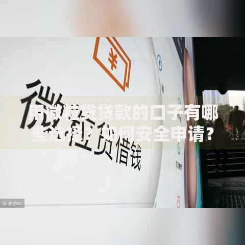 用微粒贷贷款的口子有哪些选择？如何安全申请？