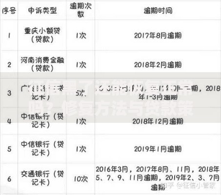 征信黑了还能恢复正常吗？修复方法与贷款策略解析