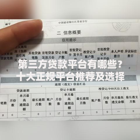 第三方贷款平台有哪些？十大正规平台推荐及选择指南