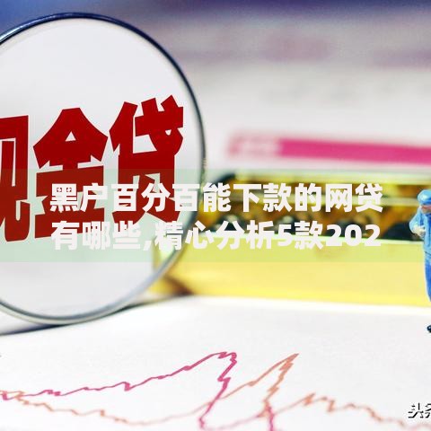 黑户百分百能下款的网贷有哪些,精心分析5款2025年黑户借款必下口子