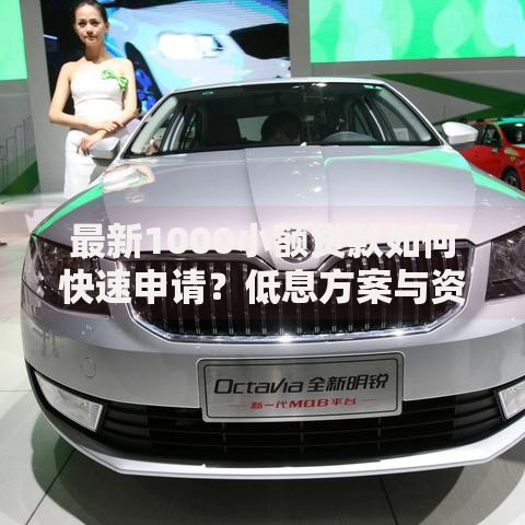 最新1000小额贷款如何快速申请？低息方案与资质要求全解析