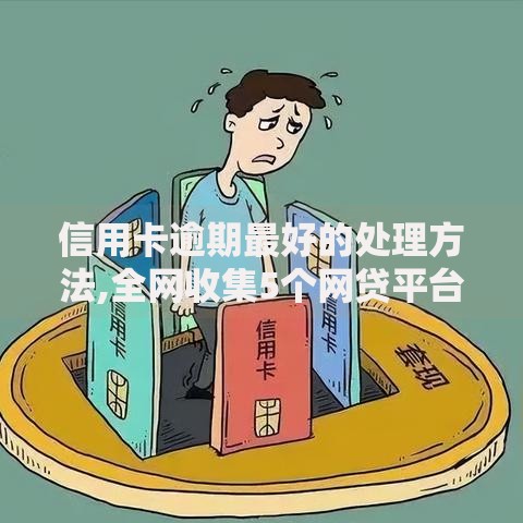 信用卡逾期最好的处理方法,全网收集5个网贷平台可以贷款