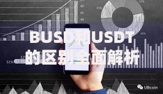 BUSD和USDT的区别全面解析：新手必看的稳定币选择指南