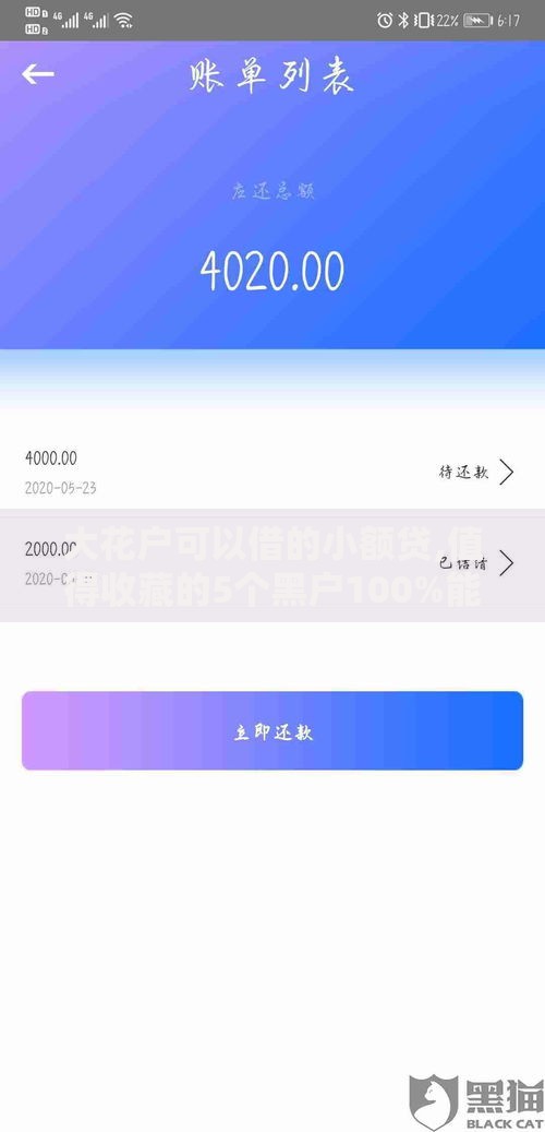 大花户可以借的小额贷,值得收藏的5个黑户100%能下款的平台