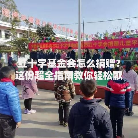 红十字基金会怎么捐赠？这份超全指南教你轻松献爱心