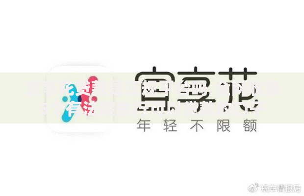 宜享花贷款是正规平台吗,全网收集5个有法院执行可以贷款的口子