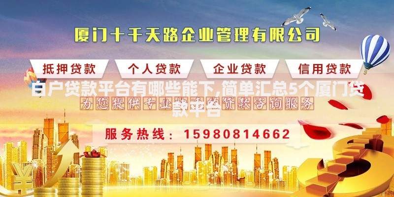 白户贷款平台有哪些能下,简单汇总5个厦门贷款平台