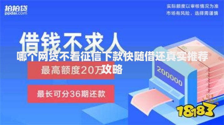 哪个网贷不看征信下款快随借还真实推荐攻略
