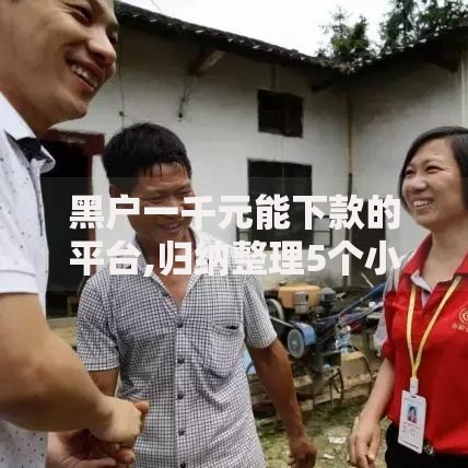黑户一千元能下款的平台,归纳整理5个小额贷款平台