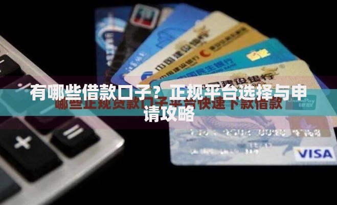 有哪些借款口子？正规平台选择与申请攻略