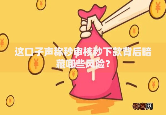 这口子声称秒审核秒下款背后暗藏哪些风险？