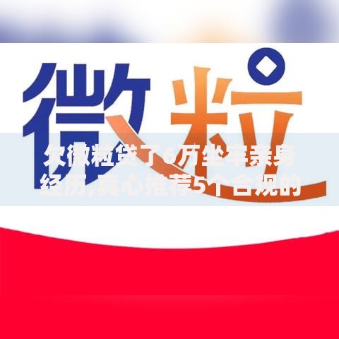 欠微粒贷了6万坐牢亲身经历,真心推荐5个合规的网贷平台