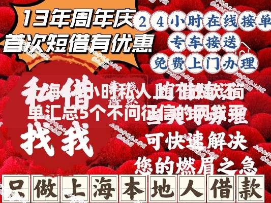 上海24小时私人上门放款,简单汇总5个不问征信的网贷平台