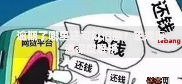 逾期了哪里还可以借款？正规渠道深度解析