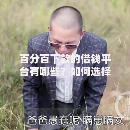 百分百下款的借钱平台有哪些？如何选择安全可靠的贷款渠道