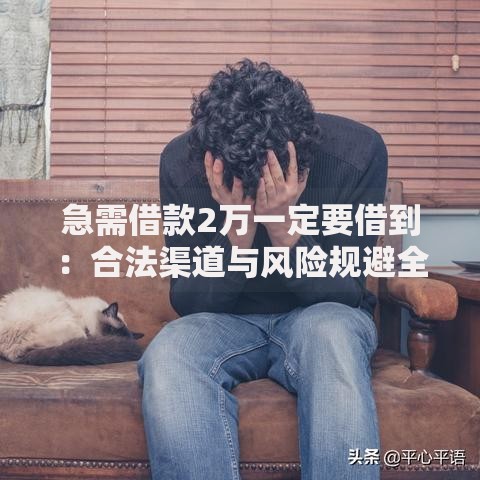 急需借款2万一定要借到：合法渠道与风险规避全解析