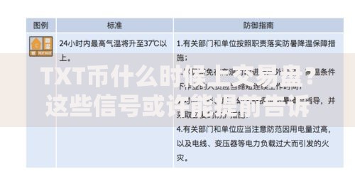 TXT币什么时候上交易盘？这些信号或许能提前告诉你答案
