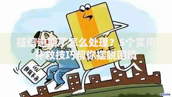 征信逾期了怎么处理？5个实用补救技巧帮你摆脱困境