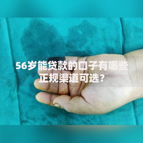 56岁能贷款的口子有哪些正规渠道可选？