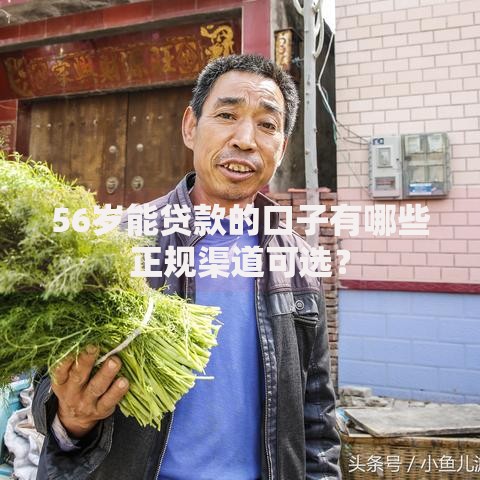 56岁能贷款的口子有哪些正规渠道可选？