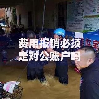 费用报销必须走对公账户吗？企业财务处理必知要点
