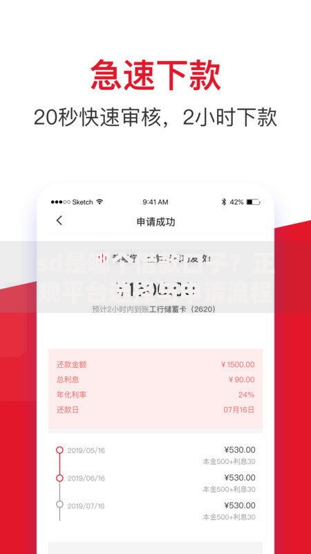 sd是哪个借款口子？正规平台选择与申请流程详解