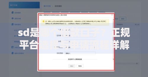 sd是哪个借款口子？正规平台选择与申请流程详解